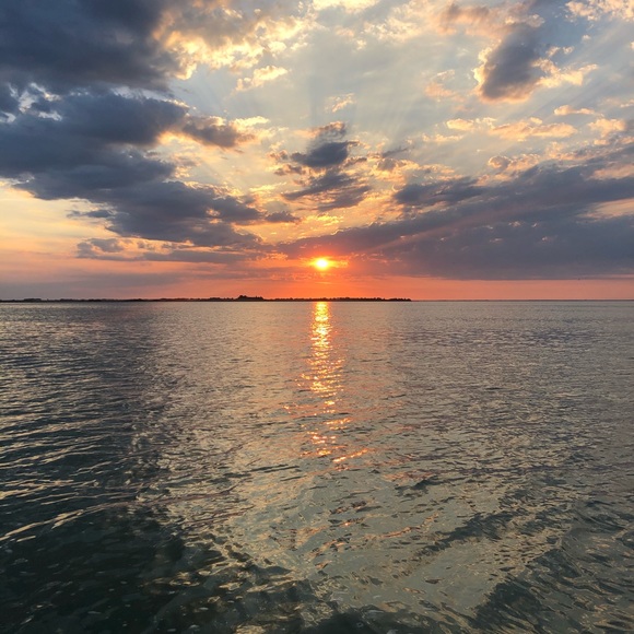 Meet your Posher, Brieanne - Picture 1 of 1